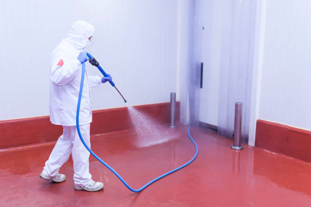 Best Roof Washing  in Scotts Hill, TN